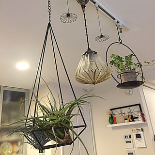 ダクトレール ライティングレールのおすすめ家具 インテリア 全284