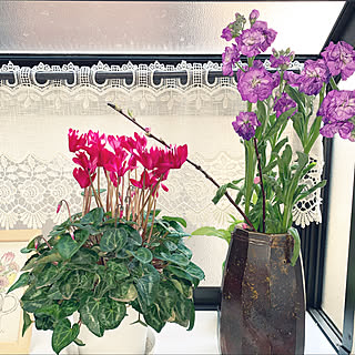 備前焼花瓶 ストックの花のインテリア実例 Roomclip ルームクリップ