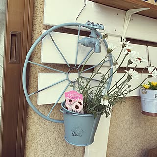 玄関/入り口/オザキフラワーパーク/玄関入り口ではなくコの字の中庭/ガーデニングのインテリア実例 - 2017-04-30 22:53:00