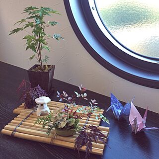 盆栽のインテリア実例 Roomclip ルームクリップ