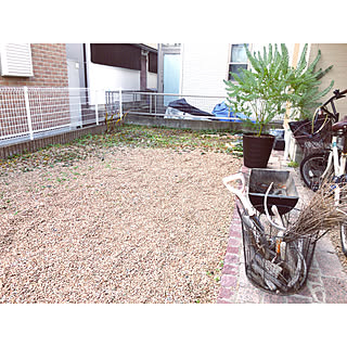 ミモザの木/庭作り/山善さんよろしくお願いします ♡/山善さんのモニター応募/山善モニター応募...などのインテリア実例 - 2019-11-09 12:44:42