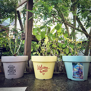 Diy ディズニーランドローズのインテリア 手作りの実例 Roomclip ルームクリップ