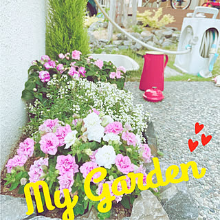 カリフォルニアローズのインテリア実例 Roomclip ルームクリップ