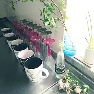キッチン/キッチン回りの癒され小物たちのインテリア実例 - 2017-06-11 08:40:03