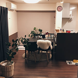 100均 犬のトイレのインテリア実例 Roomclip ルームクリップ 100均 犬のトイレのインテリア実例 Roomclip ルームクリップ