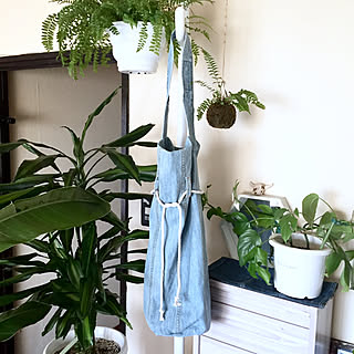 部屋全体/デニムリメイク/ハンドメイド/グリーンに囲まれ隊/賃貸でも頑張る‼...などのインテリア実例 - 2018-03-29 15:26:56