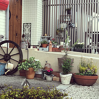 100均 砂利のインテリア実例 Roomclip ルームクリップ 100均 砂利のインテリア実例 Roomclip ルームクリップ