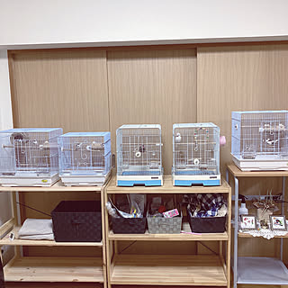 鳥かご台のインテリア実例 Roomclip ルームクリップ