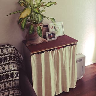 観葉植物 ダイソー麻袋のインテリア実例 Roomclip ルームクリップ