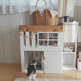 猫ハウスdiyのインテリア 手作りの実例 Roomclip ルームクリップ