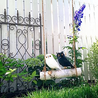 ガーデン雑貨/Gardeningやってます/Blogやってません/庭/インテリアどころか外!...などのインテリア実例 - 2014-07-15 17:59:48