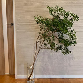 玄関 入り口 アセビのインテリア実例 Roomclip ルームクリップ