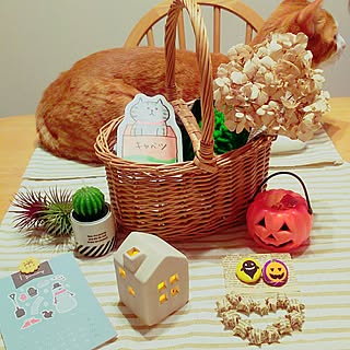 壁/天井/心にパンチパーマ✨/RCの出会いに感謝♡/いいね!ありがとうございます♪/星☆...などのインテリア実例 - 2016-09-27 22:49:57