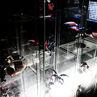 フィギュア Pc部屋のインテリア実例 Roomclip ルームクリップ