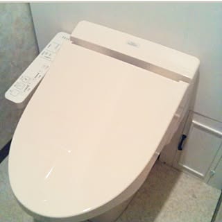 バス/トイレ/TOTO/★ホットユーザー⇒Thank you!★/タンクレス DIY♥/●主人のDIY●...などのインテリア実例 - 2017-06-26 20:44:16