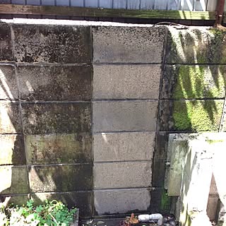 壁/天井/掃除のインテリア実例 - 2013-05-07 22:49:08