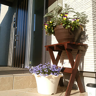 カインズ お花のある生活 の商品を使ったおしゃれなインテリア実例 Roomclip ルームクリップ