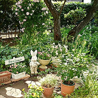 玄関/入り口/ビオラ/薔薇/ガーデンオーナメント/うさぎ...などのインテリア実例 - 2018-04-29 20:31:23