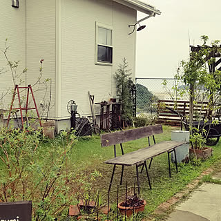 ガーデニング ハクロニシキのインテリア実例 Roomclip ルームクリップ