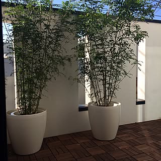 グレーチングバルコニーのインテリア実例 Roomclip ルームクリップ