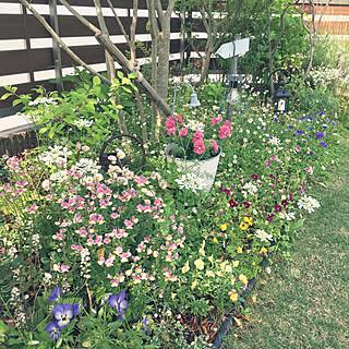 ガーデン雑貨/庭の花/花のある暮らし/GREENのある暮らし/癒される場所♡...などのインテリア実例 - 2019-05-26 10:03:29