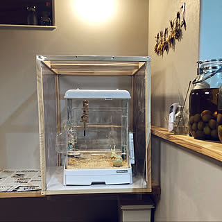 イージーホーム ケージカバー自作のインテリア実例 Roomclip ルームクリップ イージーホーム ケージカバー自作のインテリア実例 Roomclip ルームクリップ