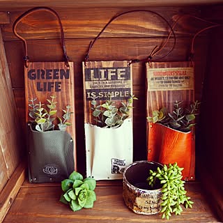 机/記録用/ディスプレイ/Instagram→andante365/NO GREEN NO LIFE...などのインテリア実例 - 2016-04-30 16:02:30