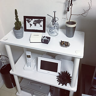 セレウスサボテンのインテリア実例 Roomclip ルームクリップ