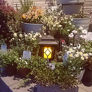 玄関/入り口/春が待ち遠しい♡/ソーラーランタン/夕暮れの風景のインテリア実例 - 2018-03-28 18:54:20