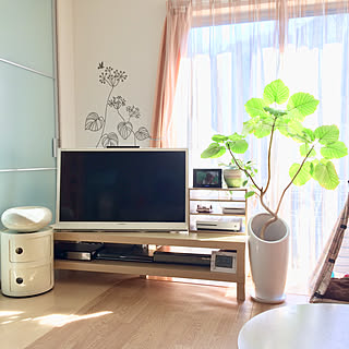 テレビボード ゲーム機収納のインテリア実例 Roomclip ルームクリップ