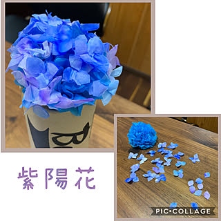 紫陽花 ハンドレタリングのおしゃれなアレンジ 飾り方のインテリア実例 Roomclip ルームクリップ