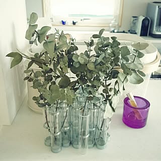 Tse Tse Associees ツェツェ ４月の花器のインテリア実例 Roomclip ルームクリップ