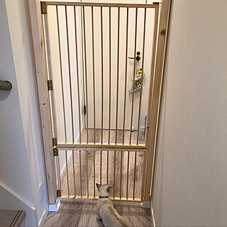 猫脱走防止扉のインテリア実例 Roomclip ルームクリップ