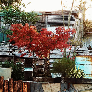 DIY/廃材DIY/レトロ/ガーデニング/カフェ風...などのインテリア実例 - 2020-02-24 11:37:15