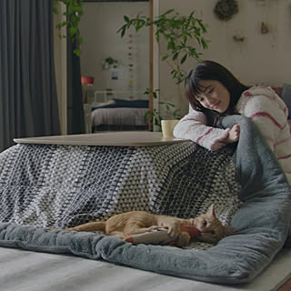 テレビ/CM/インテリア/シック/あったか...などのインテリア実例 - 2017-10-14 16:04:52