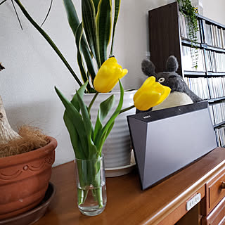 机/花/癒し/黄色/ちゅーりっぷ...などのインテリア実例 - 2020-02-24 13:43:05