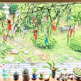 ベッド周り/多肉植物/エアプランツ/庭/窓辺の風景...などのインテリア実例 - 2017-07-04 20:16:45