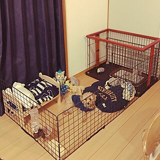 リビング 犬の部屋のインテリア実例 Roomclip ルームクリップ