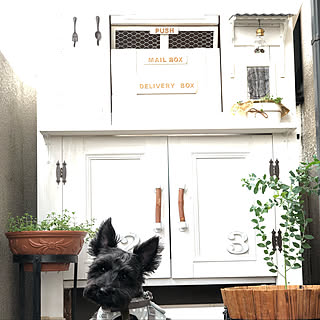 メイルボックス/delivery box/宅配ボックスDIY/DIY/mailbox...などのインテリア実例 - 2019-06-23 09:36:48