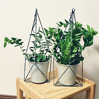 棚/GREEN LIFE/プラントハンガー/アイアン雑貨/名前がわかりません...などのインテリア実例 - 2019-04-21 21:40:51