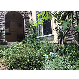 オキシペタラム ブルースターのインテリア実例 Roomclip ルームクリップ