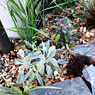 ネームプレートdiyのインテリア 手作りの実例 Roomclip ルームクリップ