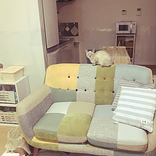 セリア/賃貸/2LDK/ダイソー/猫...などのインテリア実例 - 2020-01-23 08:20:25