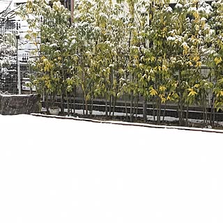 樫の木のインテリア実例 Roomclip ルームクリップ