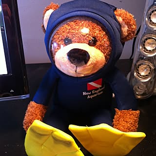 机/bearのインテリア実例 - 2012-04-13 23:23:12