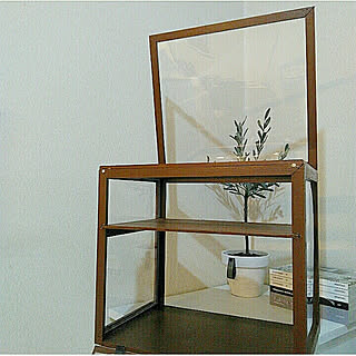 壁/天井/カフェ風/●主人のDIY●/ブラウンショーケース/DIY...などのインテリア実例 - 2018-02-25 20:35:33
