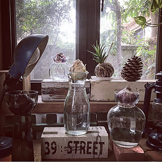 球根ヒヤシンスのインテリア実例 Roomclip ルームクリップ