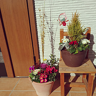 産直花だん屋のインテリア実例 Roomclip ルームクリップ