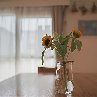 ガーデニング 向日葵のおしゃれなインテリア・部屋・家具の実例 