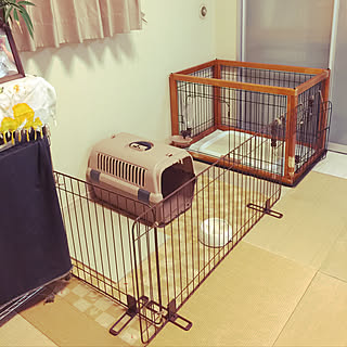 部屋全体/ペットと暮らす♡/こどもと暮らすインテリア/ハンドメイド/ゲージのインテリア実例 - 2017-08-17 23:21:45